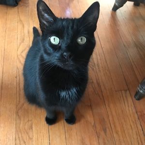 Meet your Posher, Amber